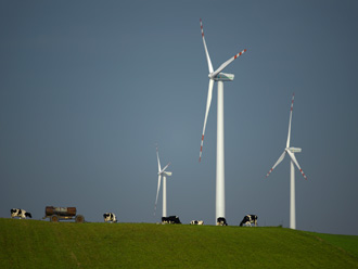 Flaches Land und starker Wind: Windkraftanlagen an der Nordseekste 