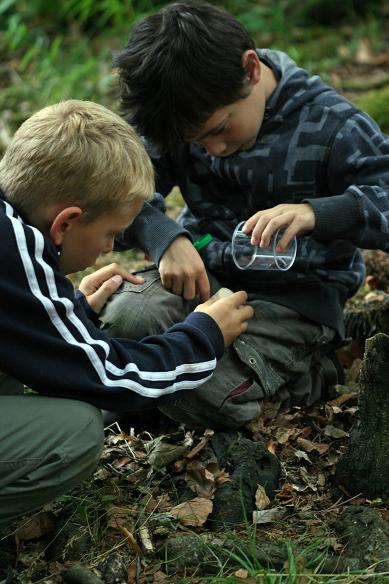 Chatten, Forum, Biodiversitt