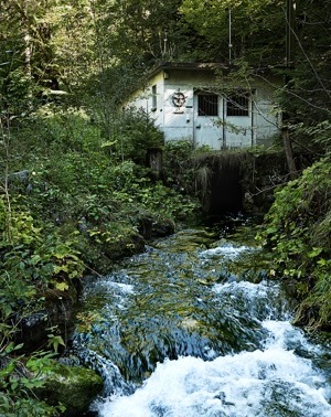 Wasserkraftwerk, Turbinen